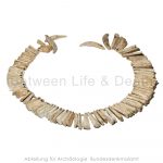 Animal teeth and bone,pendant / bead